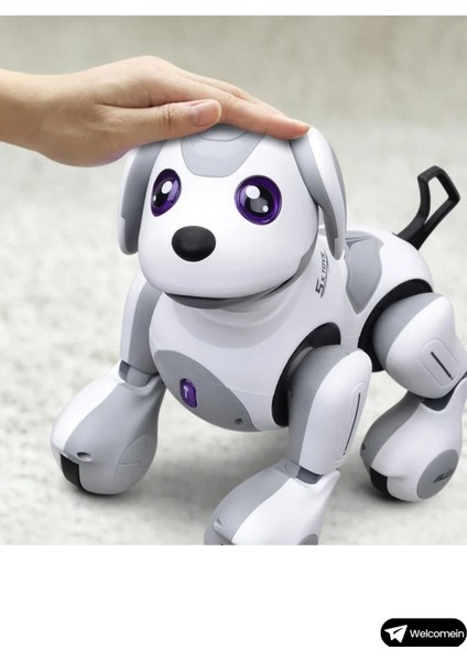 Oyuncak Uzaktan Kumandalı 22 Fonksiyonlu Smart Interaktif Akıllı Robot Köpek Sesli Ve Işıklı Hareketli Kumandalı Sevimli Dost