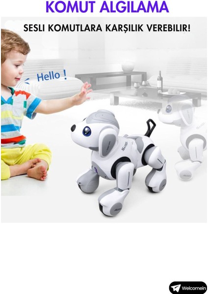 Oyuncak Uzaktan Kumandalı 22 Fonksiyonlu Smart Interaktif Akıllı Robot Köpek Sesli Ve Işıklı Hareketli Kumandalı Sevimli Dost