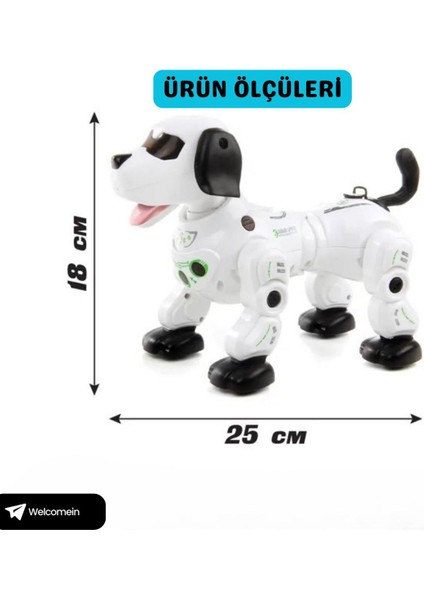 El Sensörlü Uzaktan Kumandalı Sesli ve Işıklı Robot Köpek Buhar Çıkartan Kumandayı Takip Eder modelleri