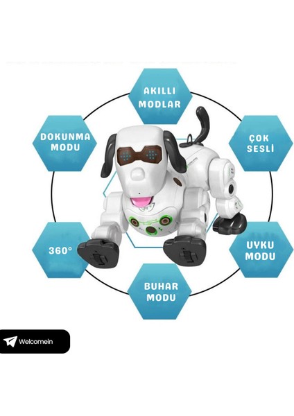 El Sensörlü Uzaktan Kumandalı Sesli ve Işıklı Robot Köpek Buhar Çıkartan Kumandayı Takip Eder