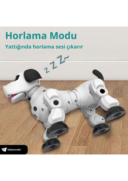 El Sensörlü Uzaktan Kumandalı Sesli ve Işıklı Robot Köpek Buhar Çıkartan Kumandayı Takip Eder