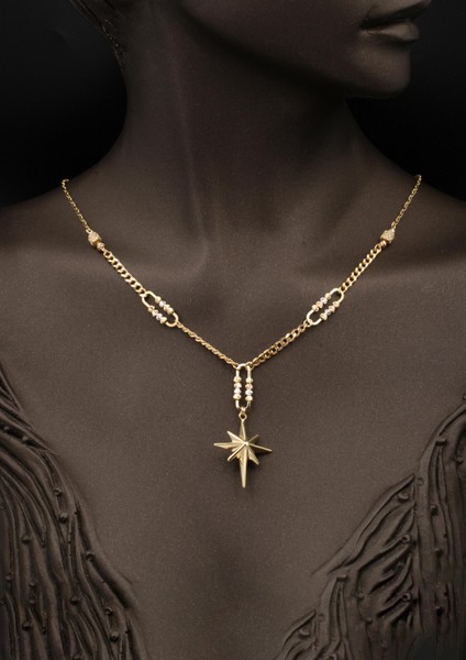 Gurmet Zincirli Kuzey Yıldızı Altın Kolye 14 Ayar fiyatları