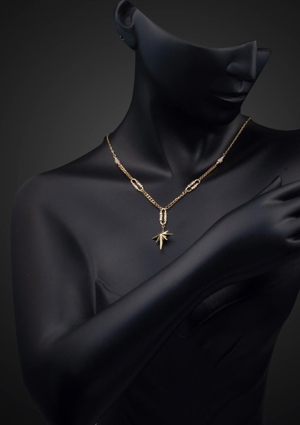 Gurmet Zincirli Kuzey Yıldızı Altın Kolye 14 Ayar fırsatları