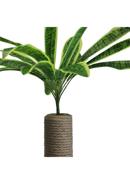 Lime - Petody Doğal Ahşap Kedi Tırmalama Ağacı fiyatları