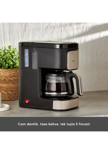 Just Coffee Aroma 2 In 1 Filtre Kahve ve Çay Demleme Makinesi Bej