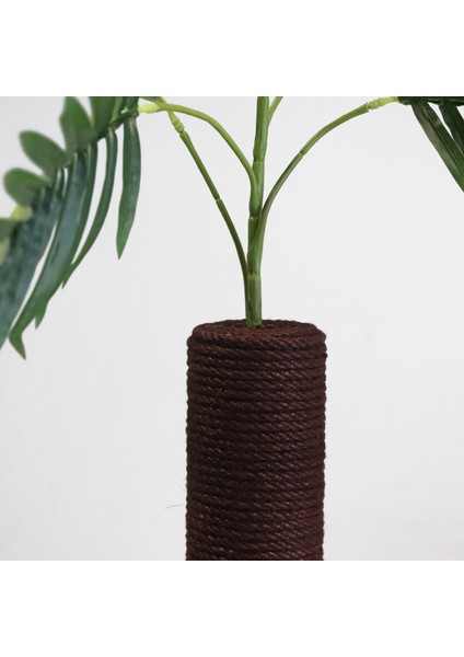 Mocha - Petody Doğal Ahşap Kedi Tırmalama Ağacı fırsatları