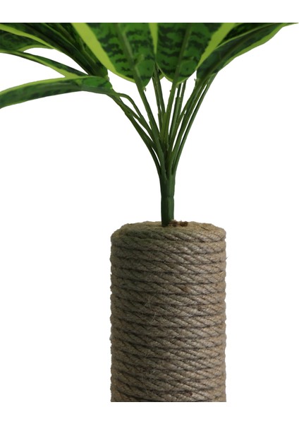 Birch - Petody Doğal Ahşap Kedi Tırmalama Ağacı fiyatları