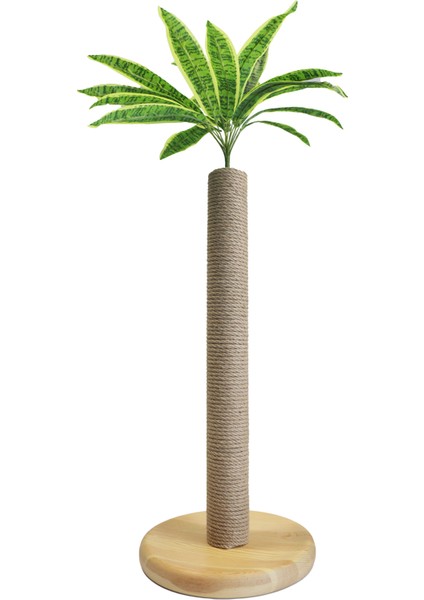 Birch - Petody Doğal Ahşap Kedi Tırmalama Ağacı modelleri