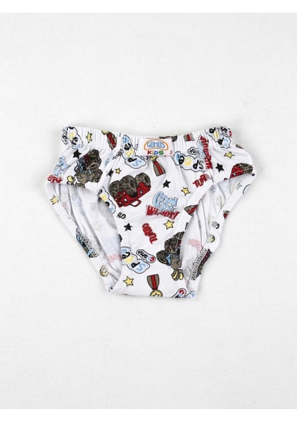Renkli Desenli Erkek Çocuk 6 Lı Slip Külot modelleri
