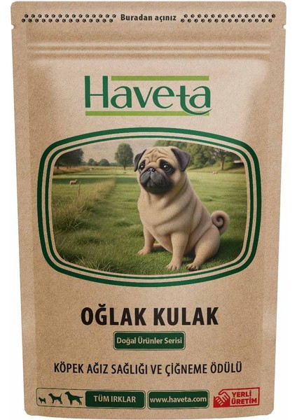 Oğlak Kulak 100GR