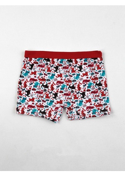 Renkli Desenli Kız Çocuk 6 Lı Boxer