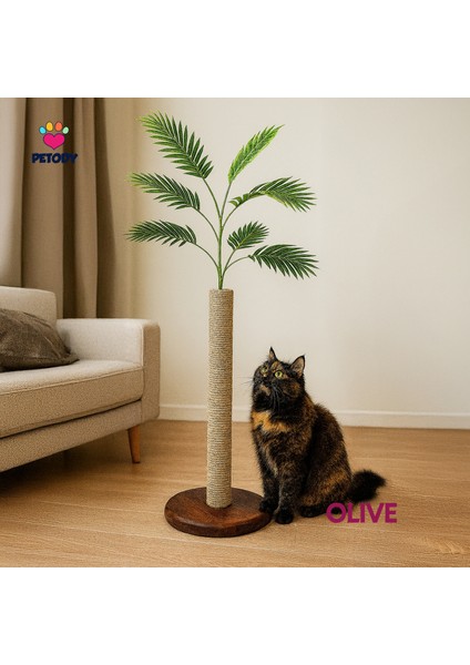 Olive - Petody Doğal Ahşap Kedi Tırmalama Ağacı
