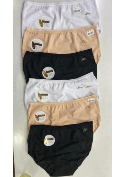 Kadın Beyaz 6'lı Paket Likralı Modal Yüksek Bel Külot