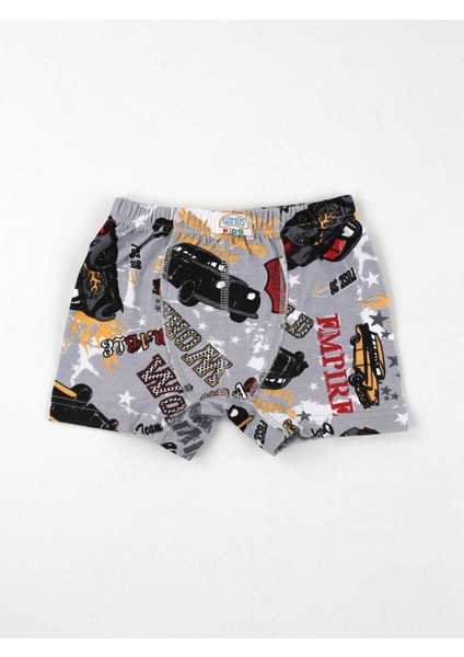 Renkli Desenli Erkek Çocuk 6 Lı Boxer modelleri