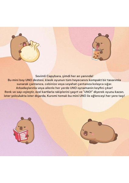 Uno Capybara Mini Kart Oyunu modelleri