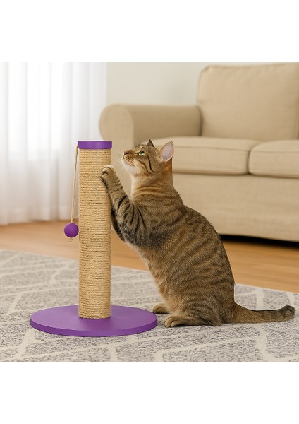 Orchid – Doğal Ahşap 50 cm Renkli Kapaklı Jüt Kedi Tırmalama Direği modelleri