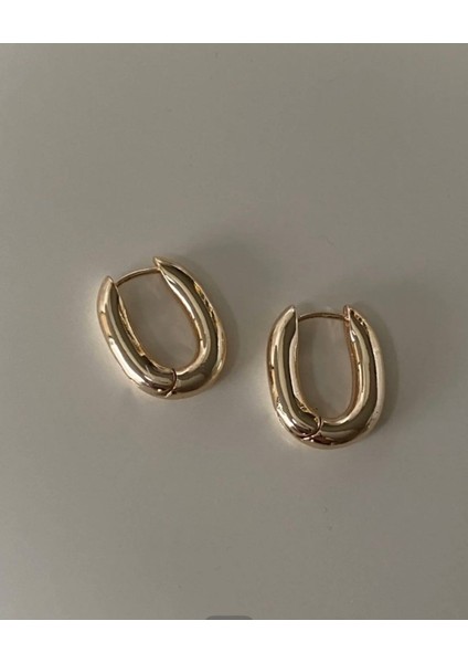 Çelik Mini Oval Küpe