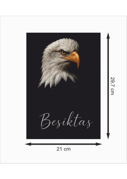 Beşiktaş Kartal Dekoratif Ahşap Poster fiyatları