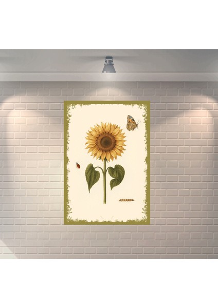 Ayçiçeği Dekoratif Retro Ahşap Poster