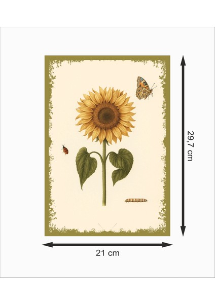 Ayçiçeği Dekoratif Retro Ahşap Poster fiyatları