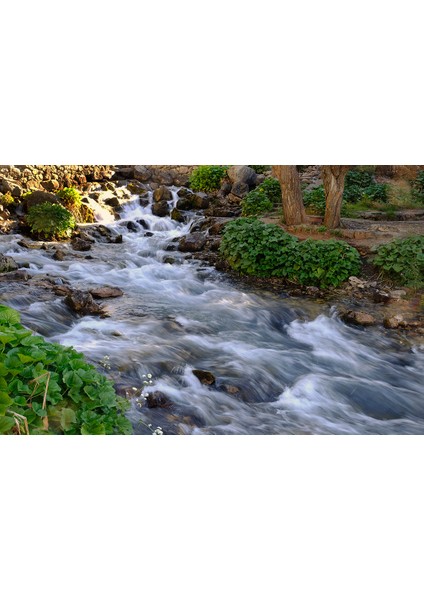 Efsane (pH 8, 45) (X12) 1, 5 Lt fiyatları