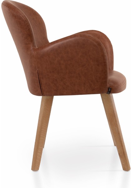 Hera Oak Kollu Sandalye fırsatları