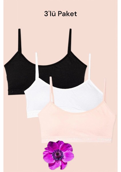Kadın Crop Büstiyer Alıştırma Sütyeni 3'lü Paket Farklı Renk Seçenekleri