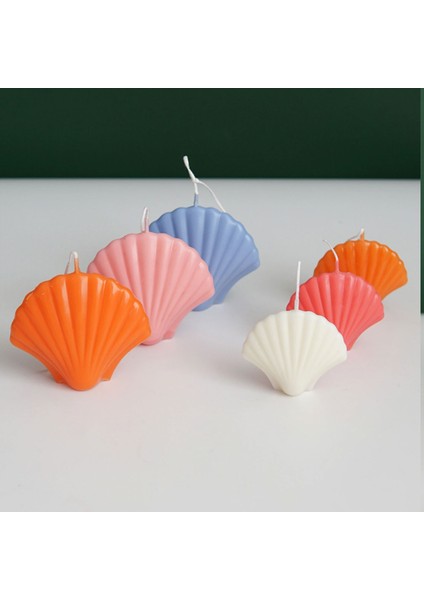 Poli Karbon Sert Plastik Shell Mum Kalıbı Küçük Boy 9,3x7,1 cm