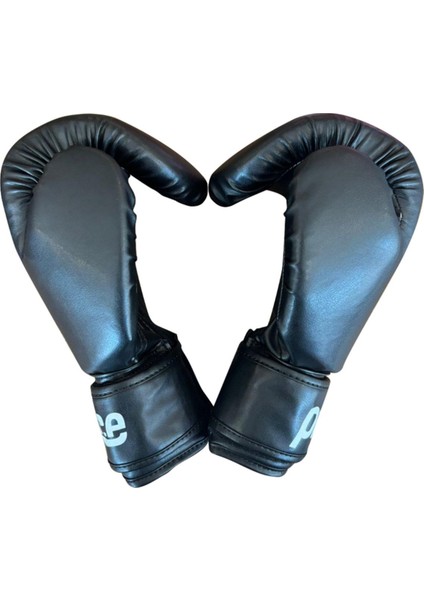 Boks Eldiveni 10 Oz BKS10 fiyatları