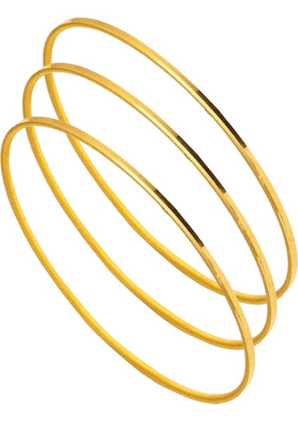 30 gr 22 Ayar Ajda Bilezik ( 10GR x 3 Adet ) fiyatları