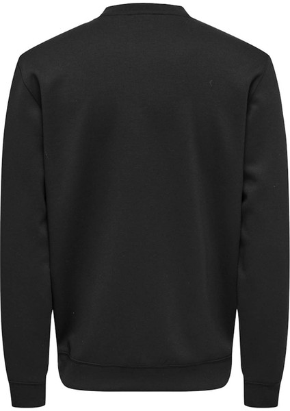 Reg Ls Zip Bomber Siyah Erkek Ceket 22035204 fırsatları