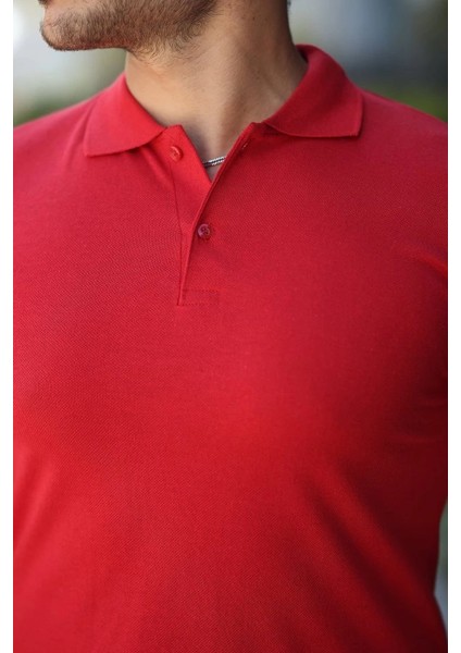 Erkek Kısa Kollu Yakalı Tişört modelleri