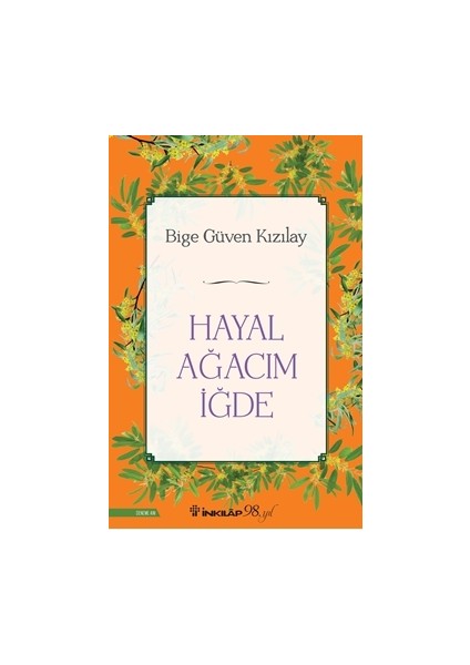 Bige Güven Kızılay 3 Kitap Seti + Okuma Sticker'ları fiyatları