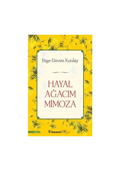 Bige Güven Kızılay 3 Kitap Seti + Okuma Sticker'ları fırsatları