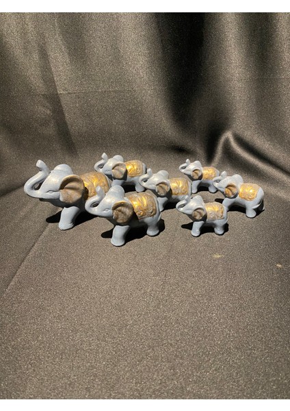 Bereketli Fil Ailesi Biblo