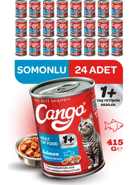 Yetişkin Yaş Kedi Maması Somonlu 415GR 24LÜ