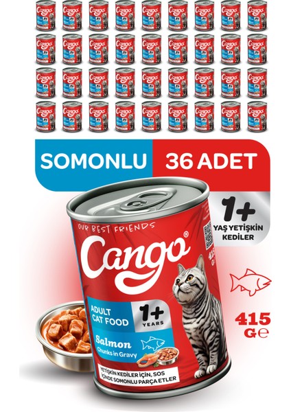 Yetişkin Yaş Kedi Maması Somonlu 415GR 36LI