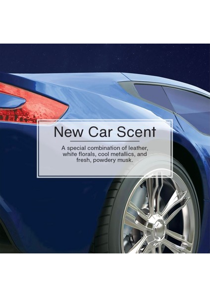 Oto kokusu indirimleri