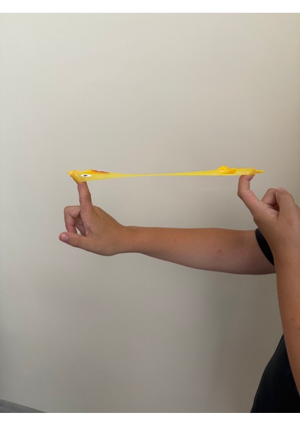 Oyuncak Tavuk Şlap (1 Adet) fiyatları