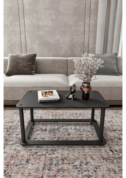 Hole Dikdörtgen Orta Sehpa Siyah fiyatları