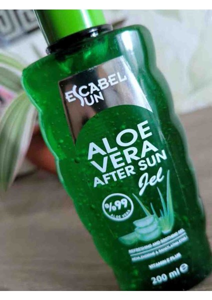 Alovera Güneş Sonrası fiyatları