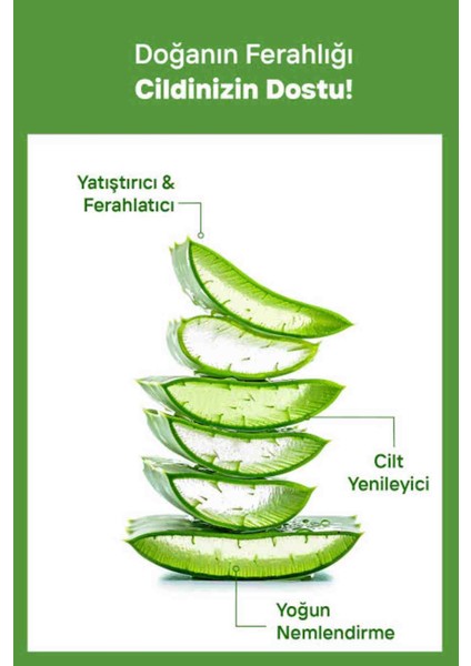 Alovera Güneş Sonrası modelleri