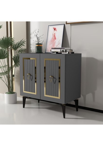 CAD001AG-CAPRİ Çok Amaçlı Dolap ,ayakkabılık , Konsol Antrasit-Gold fiyatları