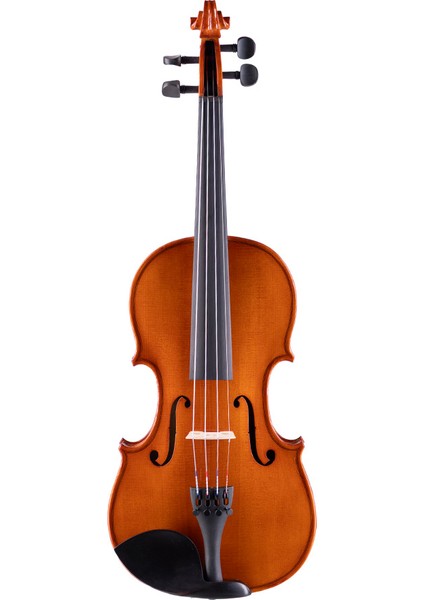 Model 121 Set I Bernstein 3/4 Keman