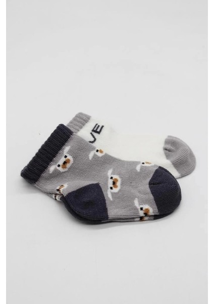 Bfs Bistyle Love Dog Penye Soket Çorap 2'li BS10118 Gri fırsatları