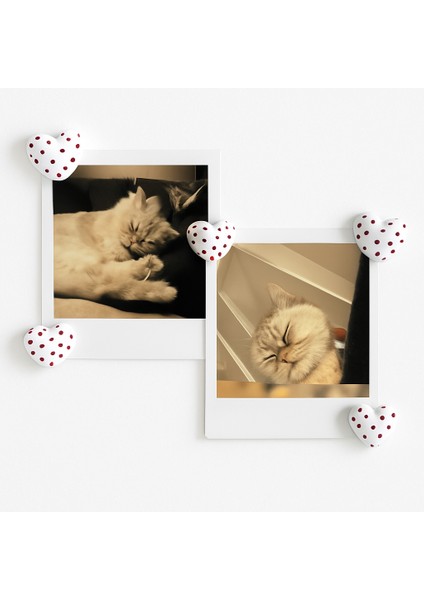 Magnet Seti 5'li El Yapımı Puantiyeli Kalp | Polaroid Fotoğraf Tutucu | Buzdolabı Mıknatısı