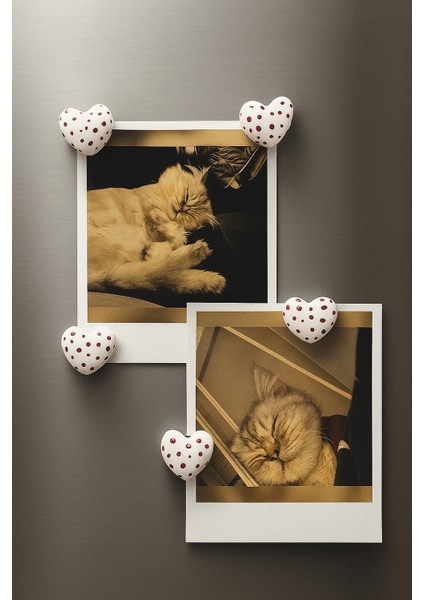 Magnet Seti 5'li El Yapımı Puantiyeli Kalp | Polaroid Fotoğraf Tutucu | Buzdolabı Mıknatısı fiyatları