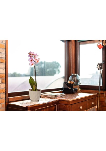 So-Krt3 Dekoratif Kristal Saksı Takımı 1.85 Lt Kirli Beyaz 5 Adet modelleri