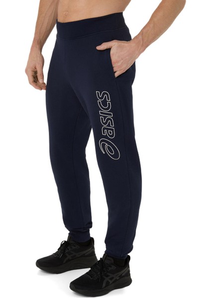 Asics Logo Sweatpant Erkek Yeşil 2031E189-407 fiyatları