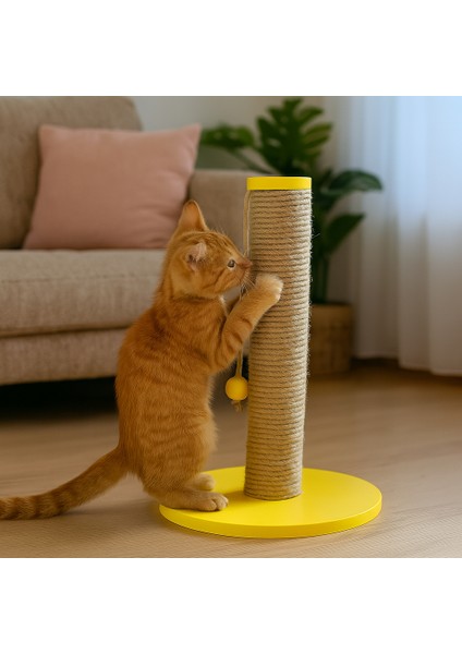 Sunny – Doğal Ahşap 50 cm Renkli Kapaklı Jüt Kedi Tırmalama Direği modelleri